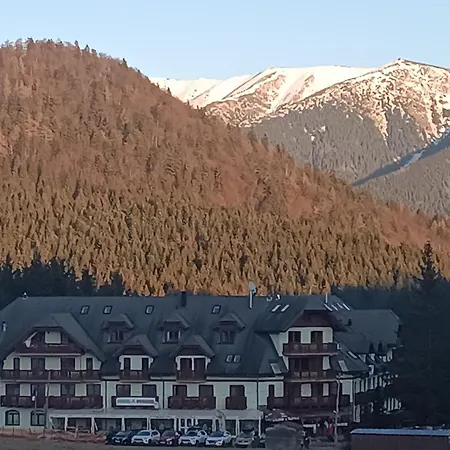 Kamzík