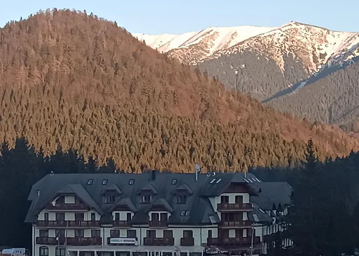 Kamzík